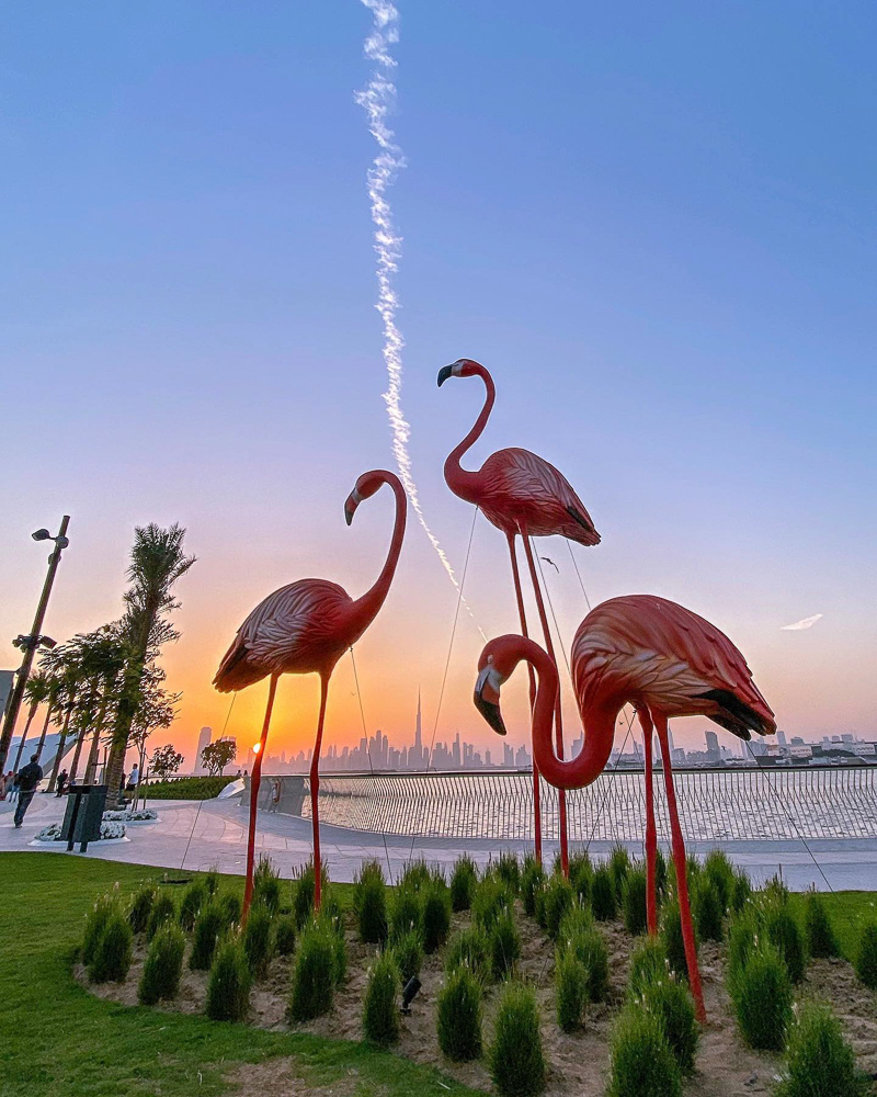 Flamingo structure at Dubai Creek Harbour