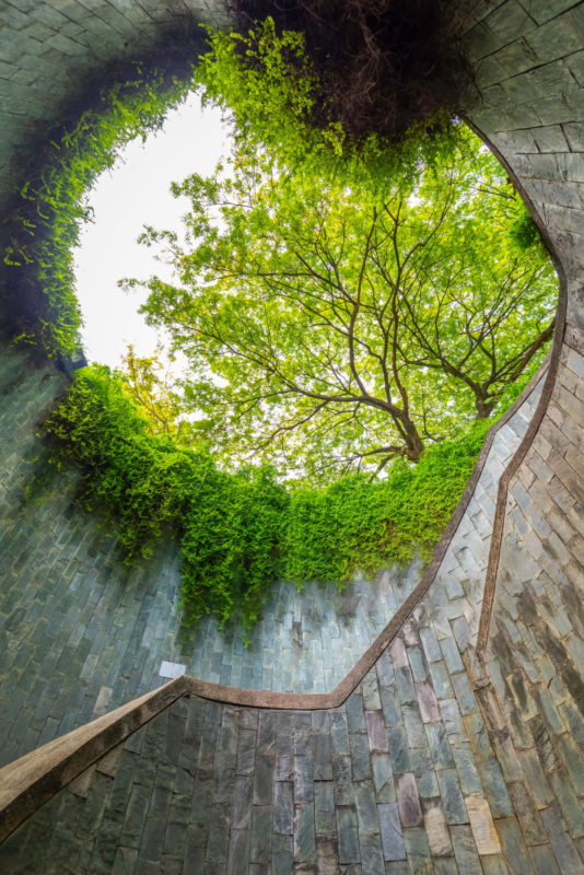 Trees over the tunnel at Fort Canning Park, Singapore instagram spots