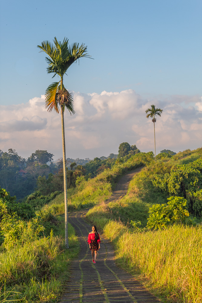 A girl in red top and black skirt walking at Campuhan Ridge walk in ubud bali. One of the best places to visit in Southeast Asia