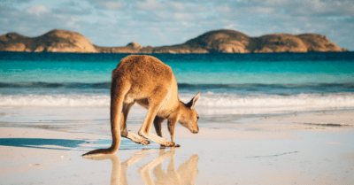 15 Best Things To Do In Esperance - Suvarna Arora